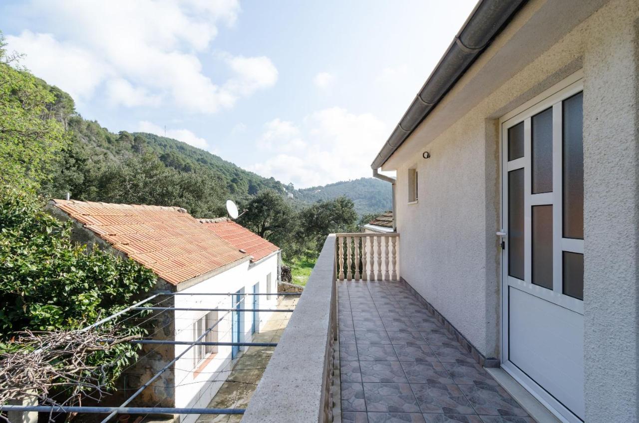 Popovic Apartamento